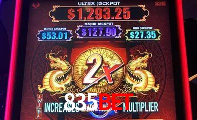 Experiência VIP 835bet